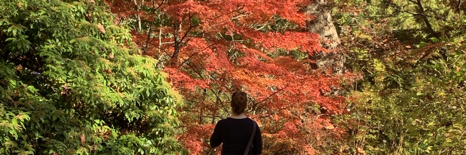 SarahSimmonsTV's profile banner image