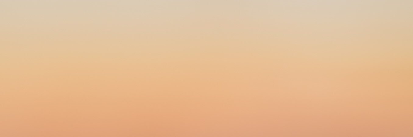 repivs- banner