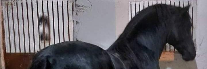3zzi_11's profile banner image