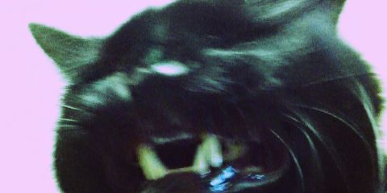 zxzneko's profile banner image