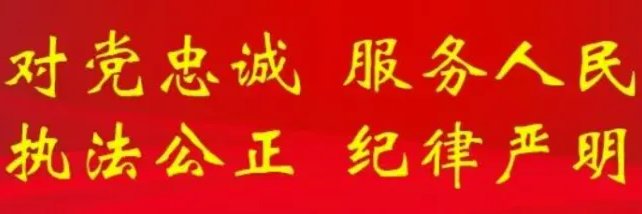 灵革联妖精解放军 banner