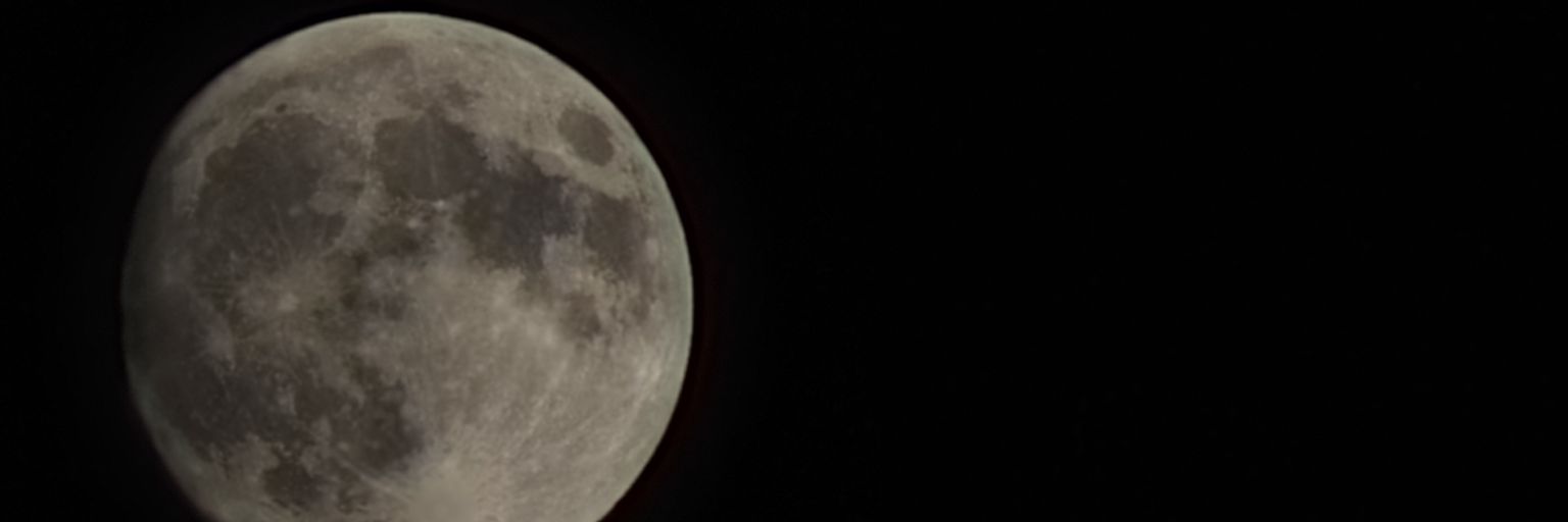 Candace banner