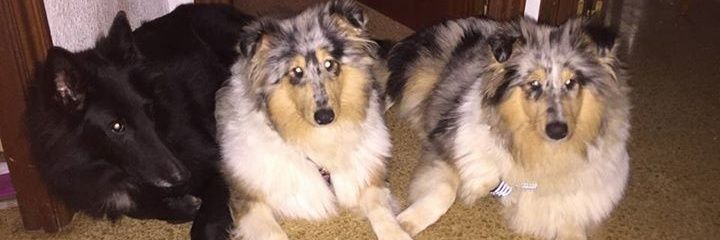 montsefloe's profile banner image