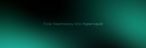 HyperFlow_fun Profile Banner