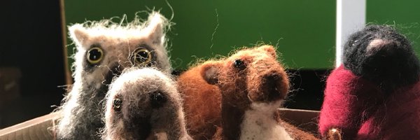 ToadsCaravan Profile Banner