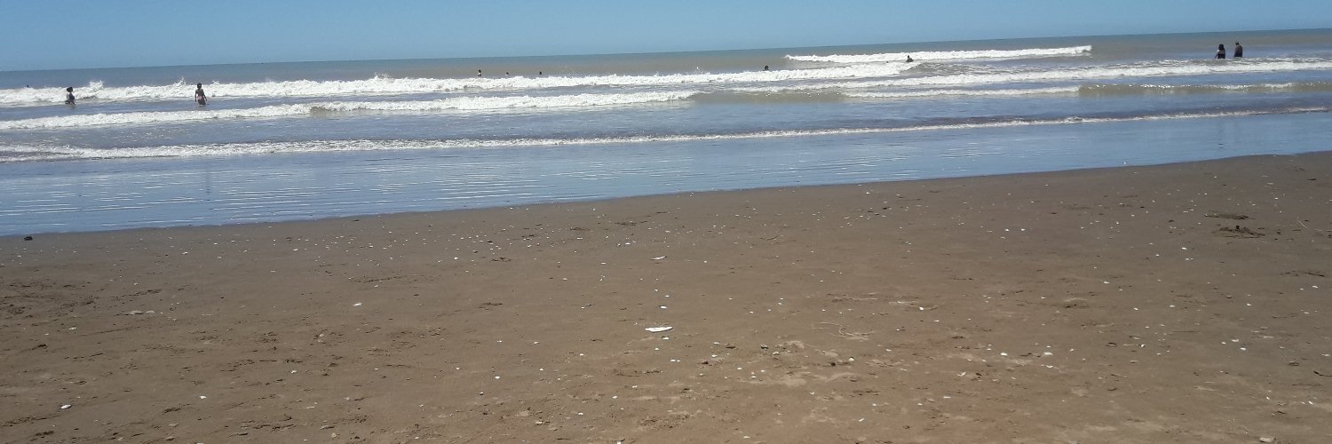 amoranimalarg's profile banner image
