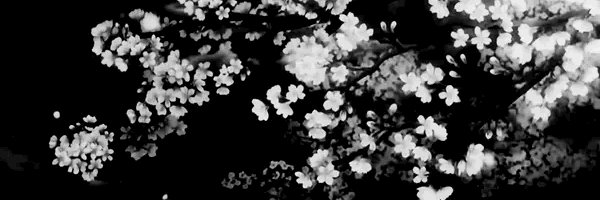 yukisoaa's profile banner image