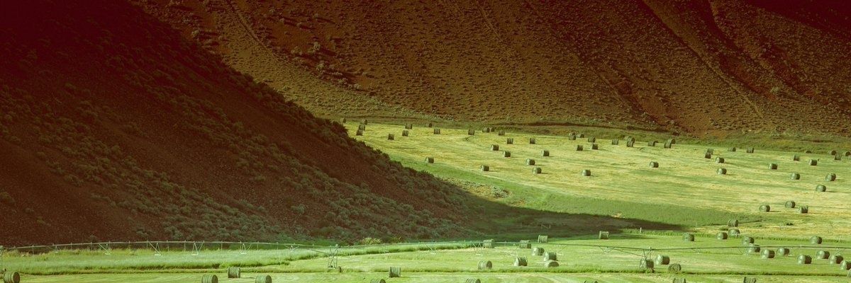 askarindarto's profile banner image