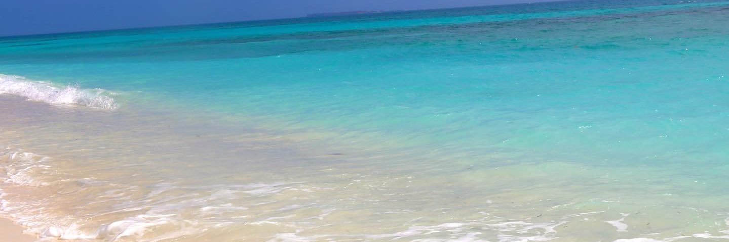 Angela O'Dowd banner