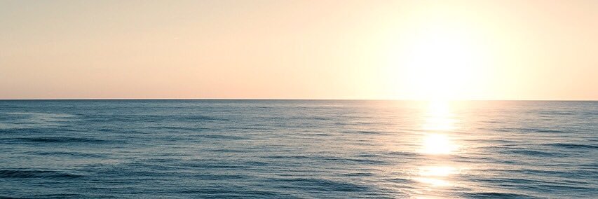 gerardoPalt's profile banner image