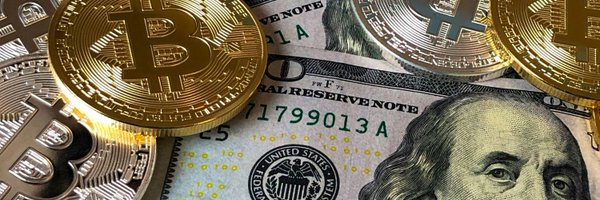 chainmindset Profile Banner