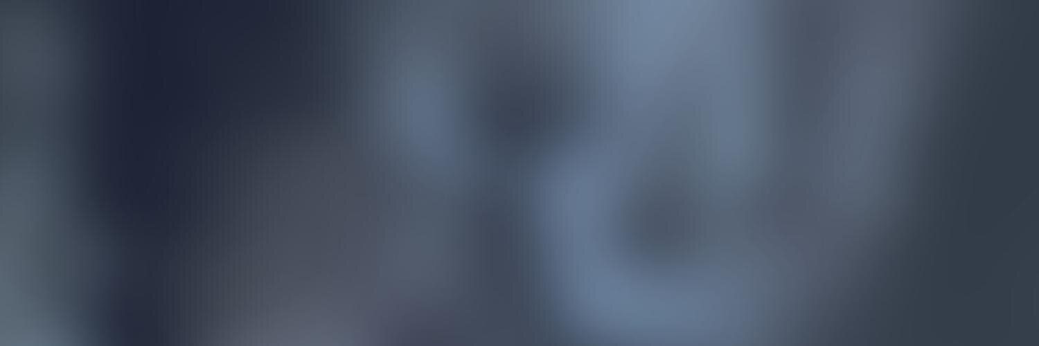 plashchynski's profile banner image
