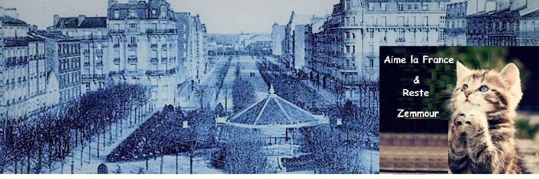 Botet Josette R! ❤️ 🇲🇫 75/66/92/29 banner