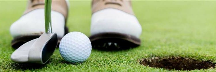 Hans-Bernd van de la Herbe de Bourtaine 🏌️ banner