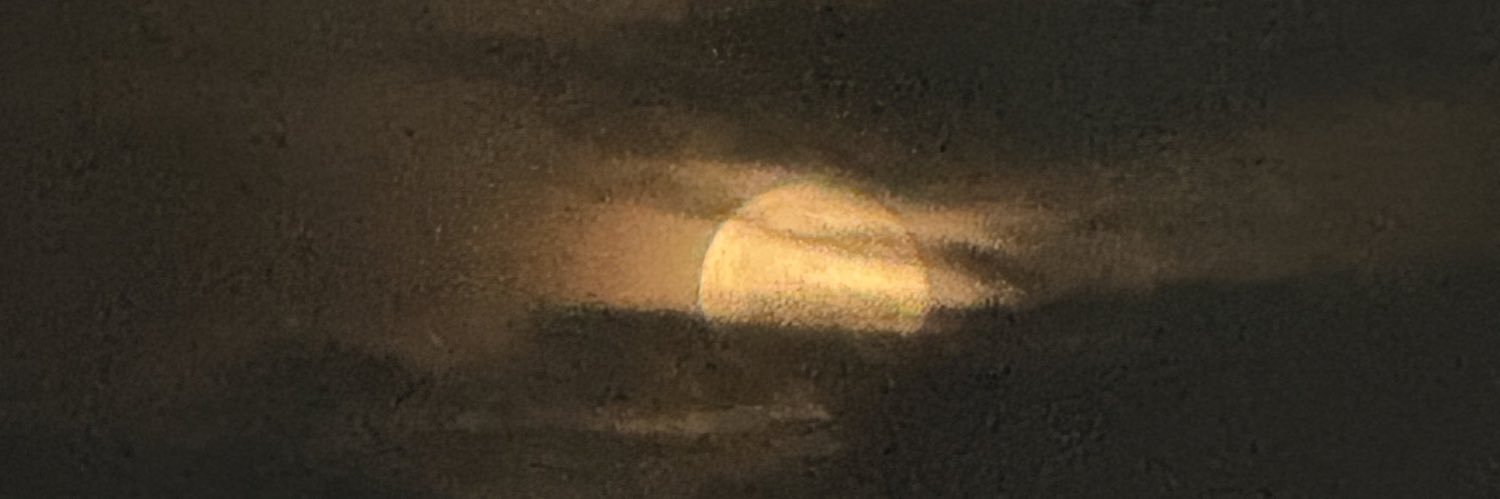 moon1000023's profile banner image