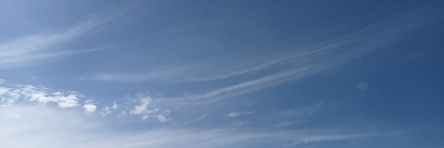 Demi banner