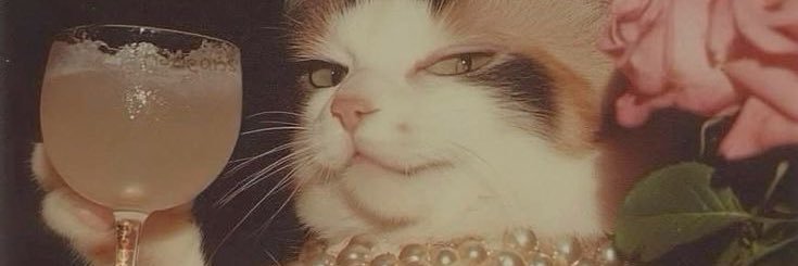 Maria Fox 🏴󠁧󠁢󠁥󠁮󠁧󠁿🦊✝️ banner