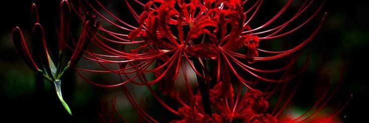 MariaRicht48317's profile banner image
