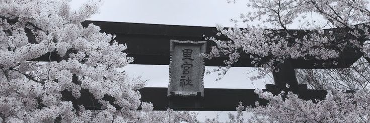 suc4ls's profile banner image