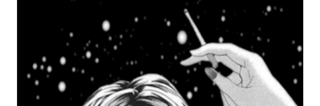 camilacplopes's profile banner image