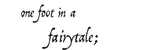 flshwnd Profile Banner