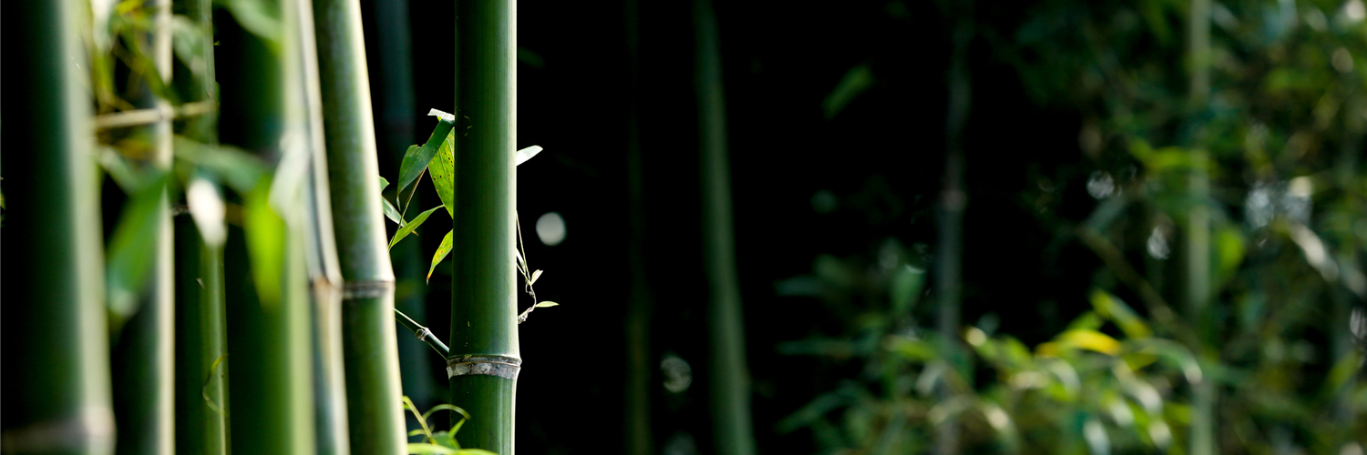 竹贤会BamBooZ banner