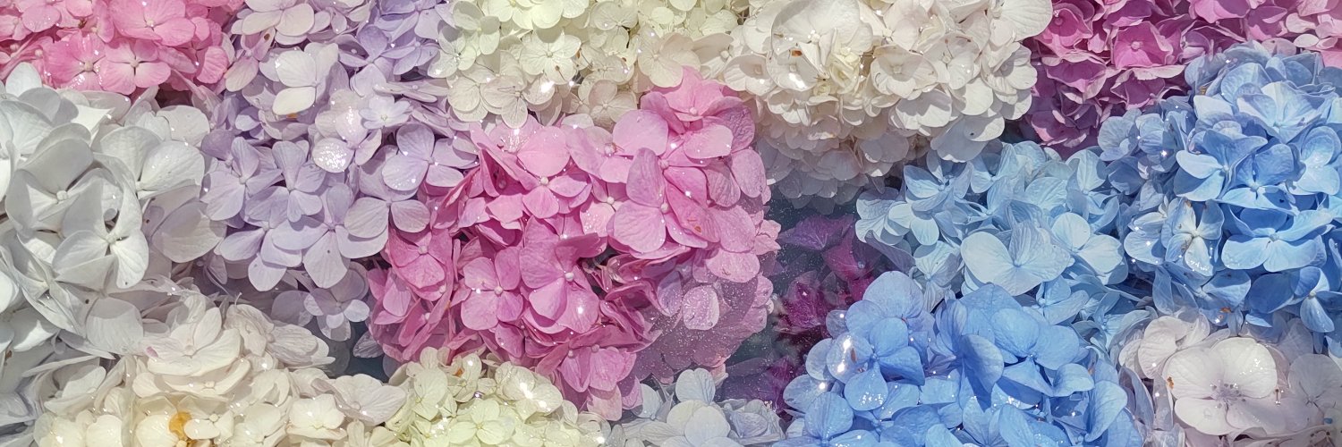 tegege's profile banner image