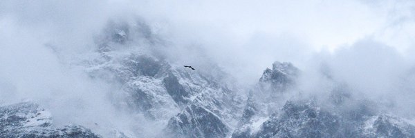 Time7MDI Profile Banner