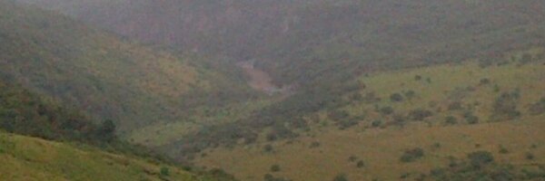 CandiceMorkel Profile Banner
