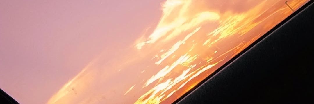 Aaliyah Sanchez banner