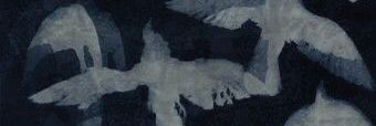 kaeya.'s banner