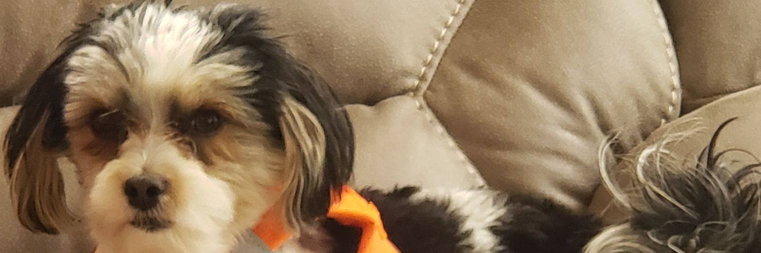 Mikaredd30's banner
