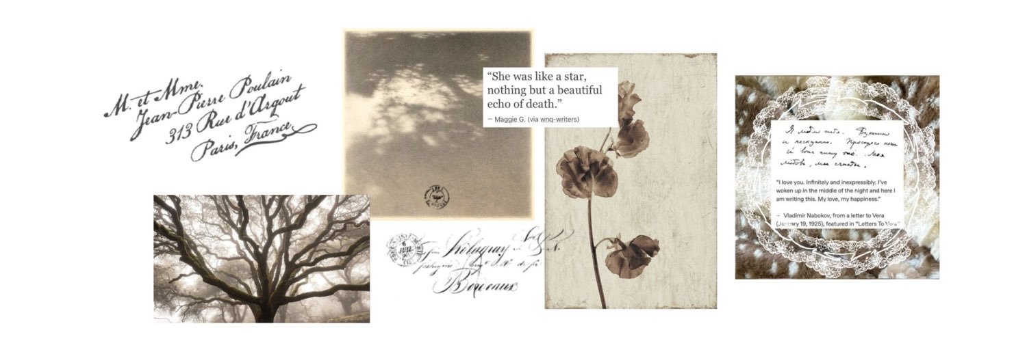 𝐵𝑒𝑙𝑙𝑦; banner