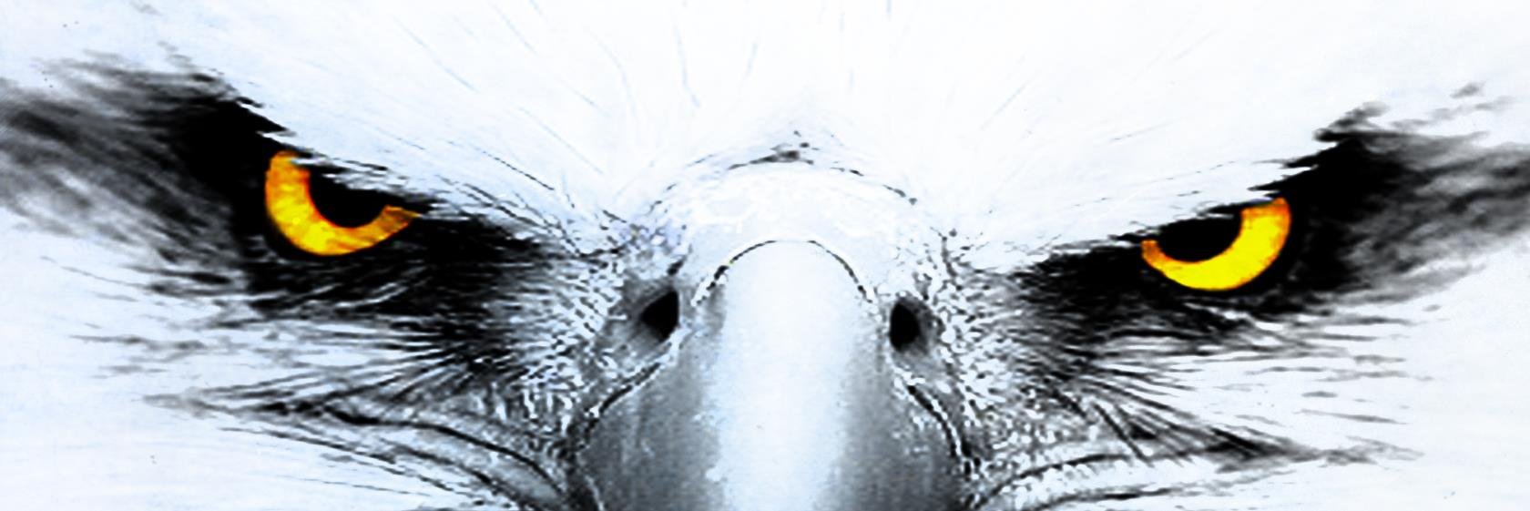 arePissed's profile banner image
