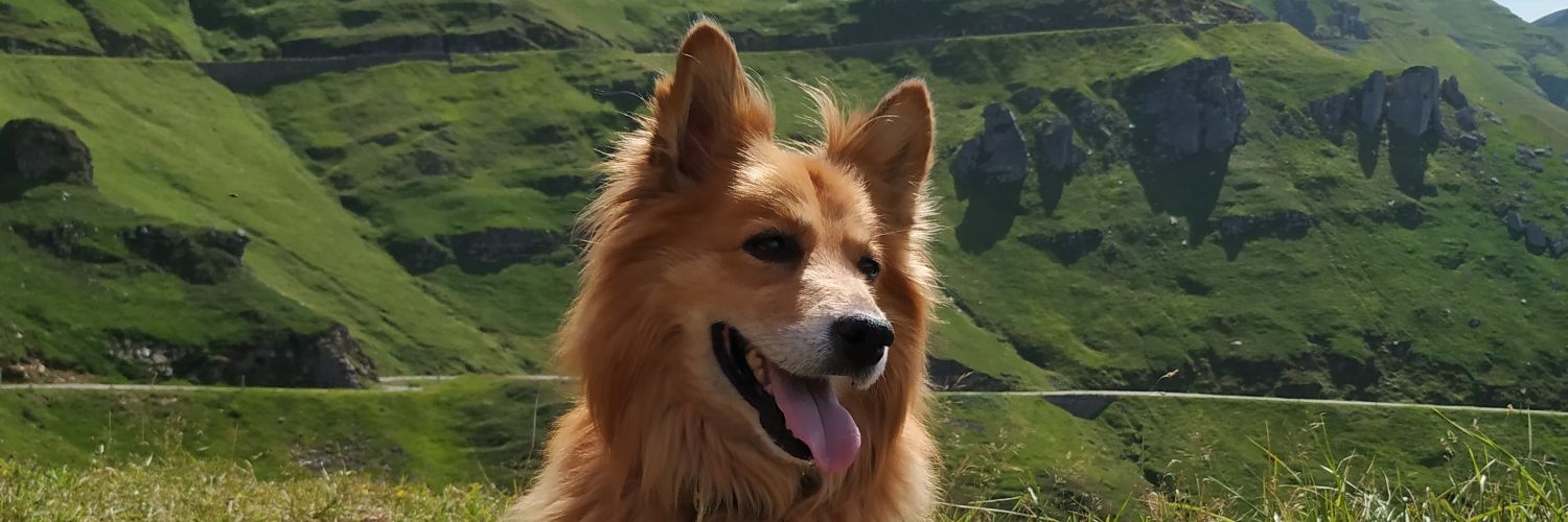 GuilleCKK's profile banner image