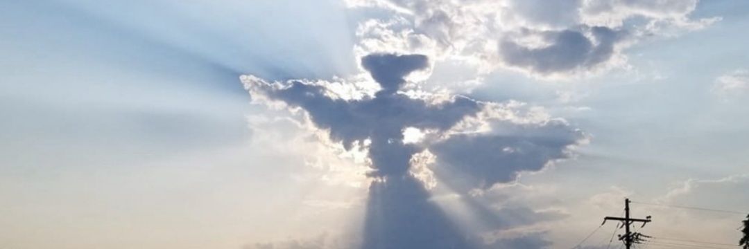 Echo Flight Five banner