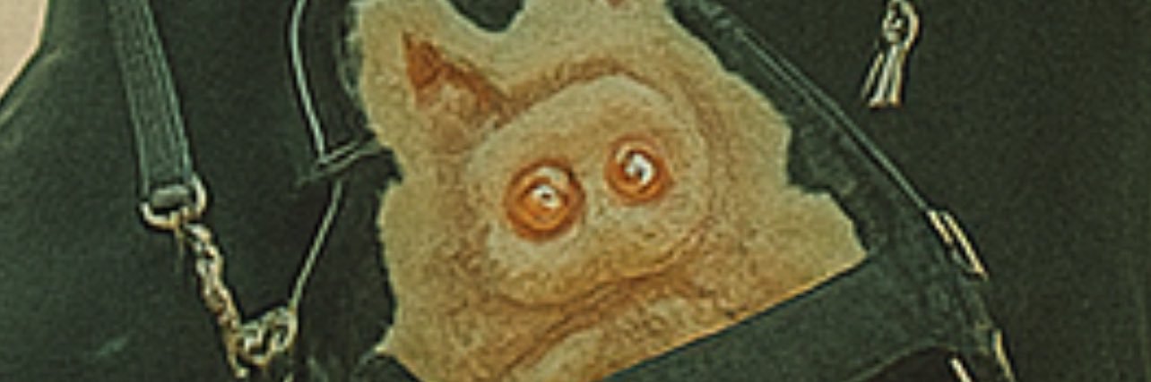 ptkmendell's profile banner image