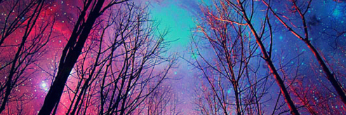 Evelyn Cristina banner