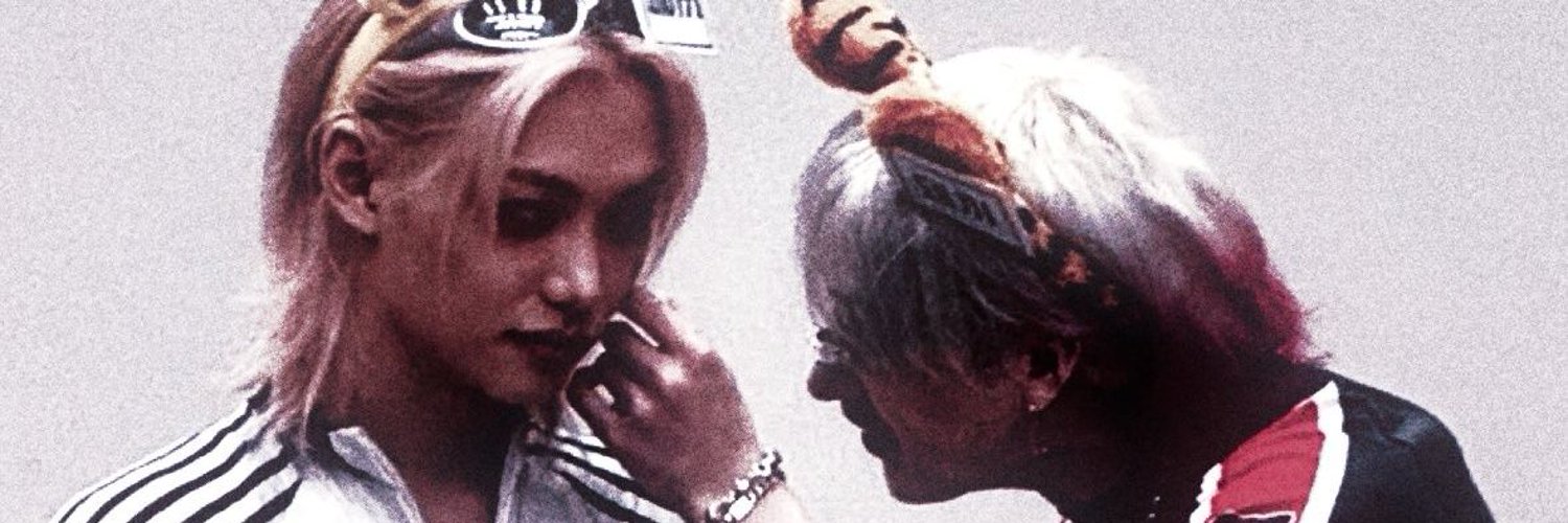 cat hybrid lix 🐱 kitten yul. banner