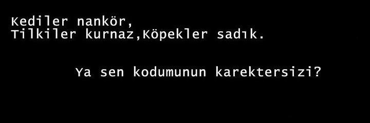 popiniz's profile banner image