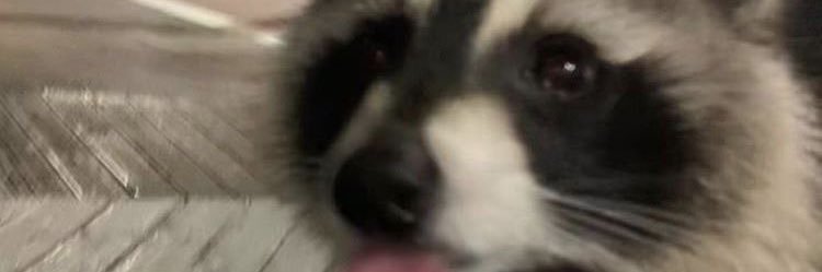 marcosroez's profile banner image