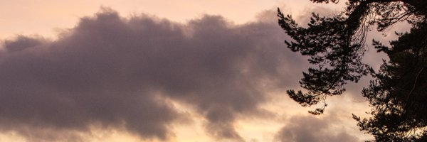 joshaw Profile Banner