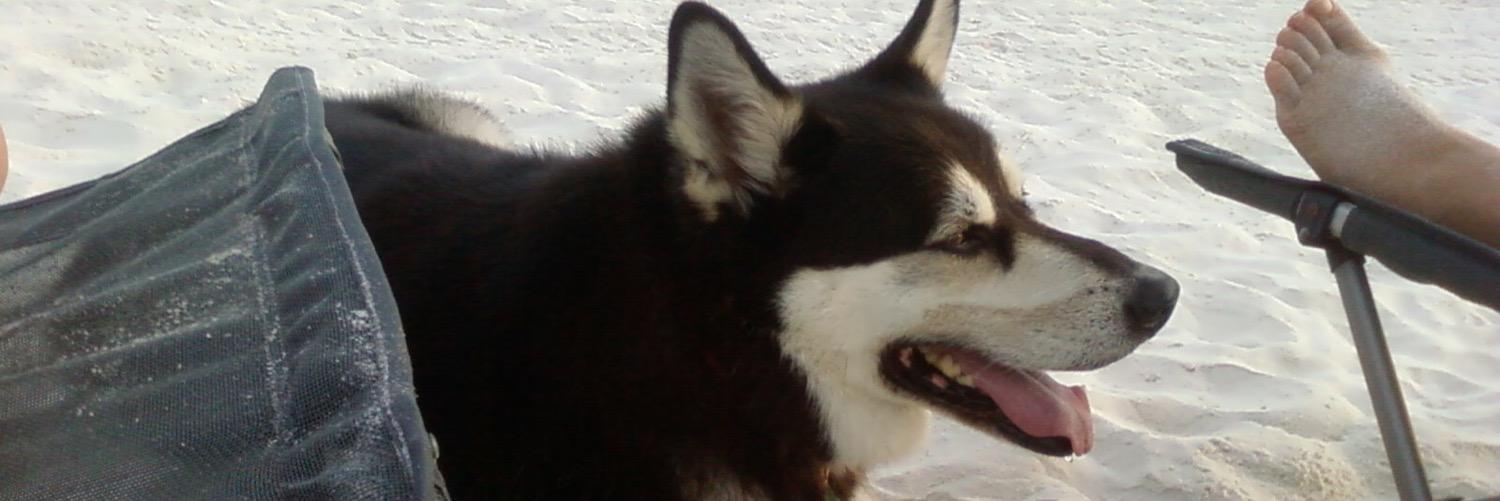 KenH1980's profile banner image