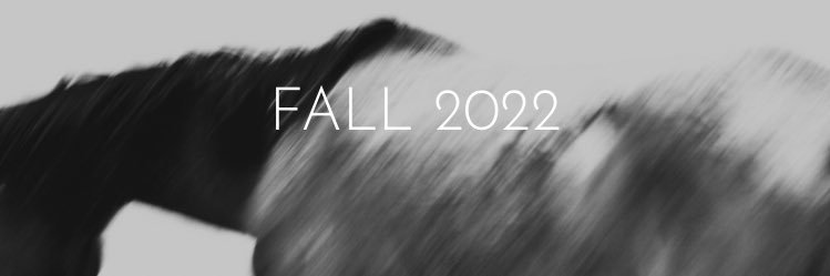 Watershed Review banner