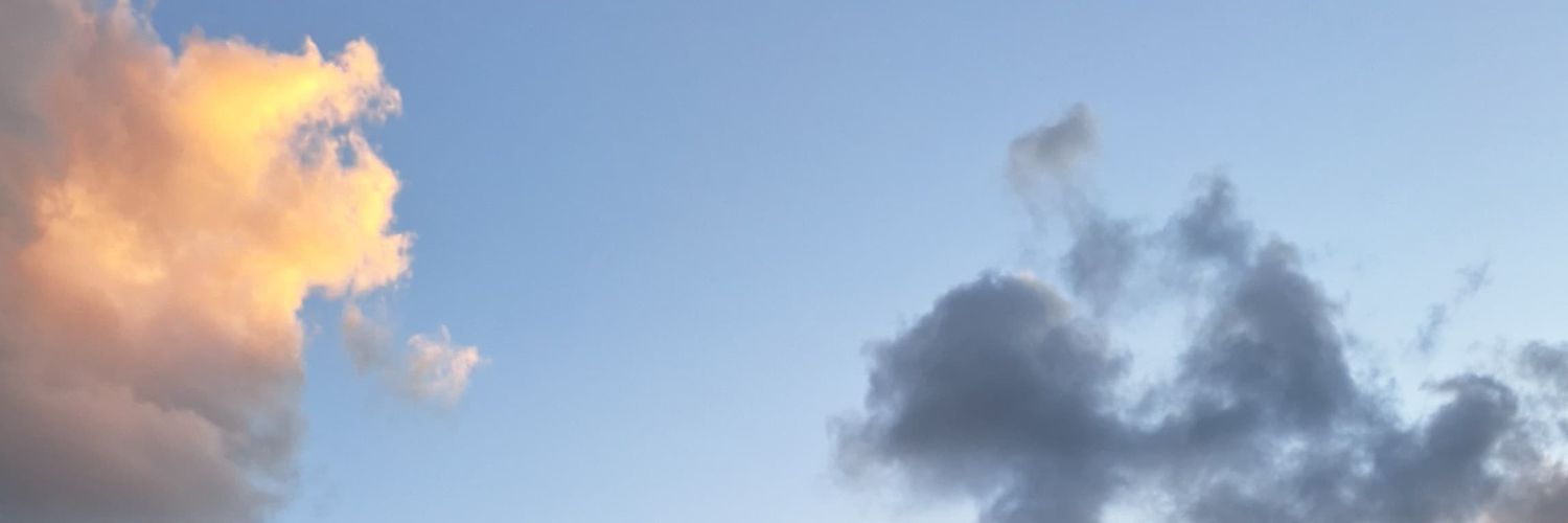 shaymaeMD's profile banner image