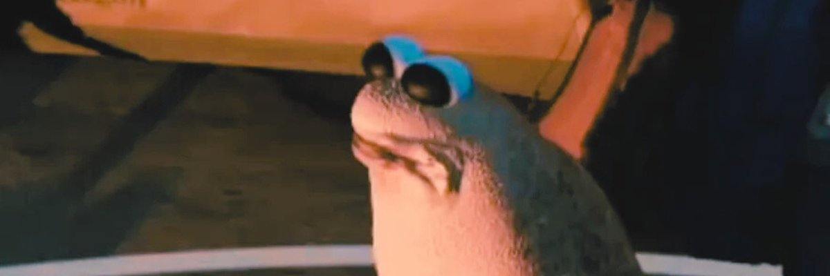 MarcusOnSolana's profile banner image
