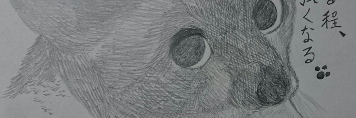 niku93_'s profile banner image