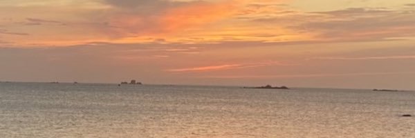Enora1208's profile banner image