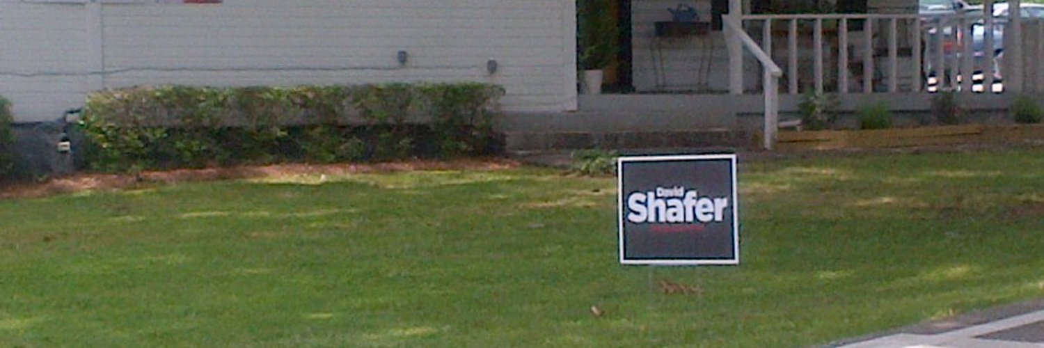 David Shafer Profile Banner