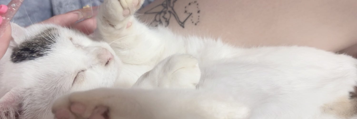 うかちやん❕こっとんど〜る banner